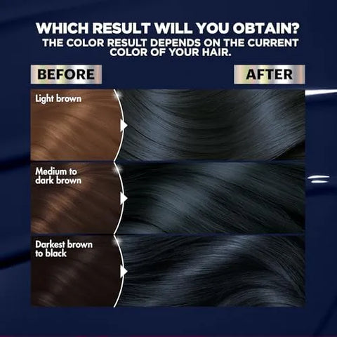 Garnier Hair Color Nutrisse Ultra Color Nourishing Creme, BL21 Reflective Blue Black (Blackberry Mojito) Permanent Hair Dye, 1 Count (Packaging May Vary) (Pack of 2)