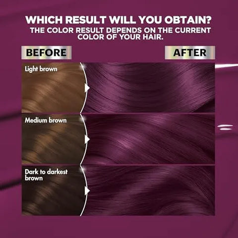 Garnier Nutrisse Ultra Color Hair Color, Permanent Hair Dye for Up to 8 Weeks of Bold, Vibrant, Fade-Resistant Results, Vegan & Cruelty-Free, V2 Dark Intense Violet (Spiced Plum), 2 Count