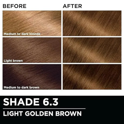 Garnier Hair Color Olia Ammonia-Free Brilliant Color Oil-Rich Permanent Hair Dye, 6.3 Light Golden Brown, 1 Count (Packaging May Vary) (Pack of 2)