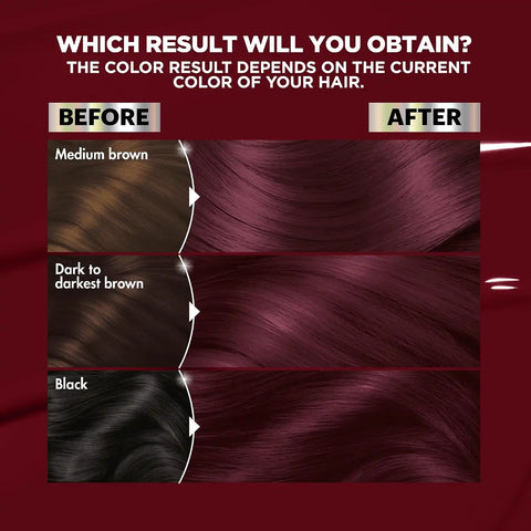 Garnier Nutrisse Ultra Color Hair Color, Permanent Hair Dye for Up to 8 Weeks of Bold, Vibrant, Fade-Resistant Results, Vegan & Cruelty-Free, BR2 Dark Intense Burgundy (Passion Fruit), 2 Count