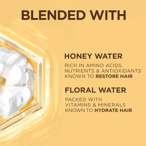 Garnier Whole Blends Honey Water Cream, 100 Hours Moisture Lock, Dry Hair, Scalp, Honey Nectar and Floral Water, Pack of 2