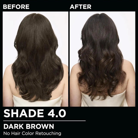 Garnier Olia Hair Color, Ammonia-Free Permanent Hair Dye, Oil-Powered Formula for 100% Gray Coverage and 3x Shinier Hair, Vegan & Cruelty Free, 4.0 Dark Brown, 2 Count