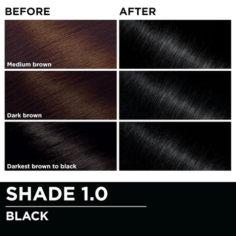 Garnier Olia Hair Color, Ammonia-Free Permanent Hair Dye, Oil-Powered Formula for 100% Gray Coverage and 3x Shinier Hair, Vegan & Cruelty Free, 1.0 Black, 2 Count