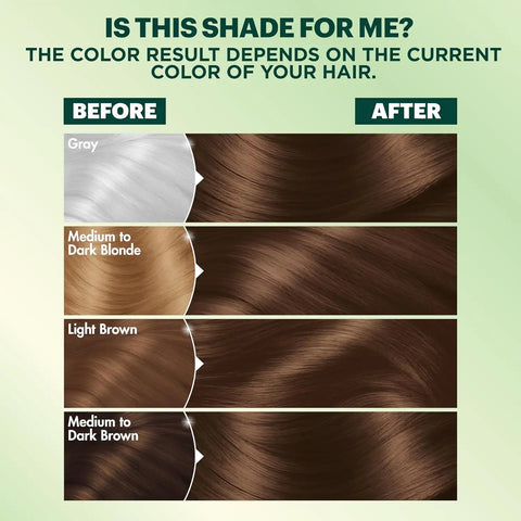 Garnier Nutrisse Ultra Coverage Hair Color, Permanent Hair Dye for Up to 8 Weeks of Stubborn Gray Coverage, Vegan & Cruelty-Free, 600 Deep Light Natural Brown (Spiced Hazelnut), 1 Count