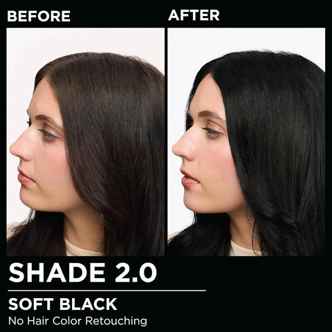 Garnier Olia Hair Color, Ammonia-Free Permanent Hair Dye, Oil-Powered Formula for 100% Gray Coverage and 3x Shinier Hair, Vegan & Cruelty Free, 2.0 Soft Black, 2 Count