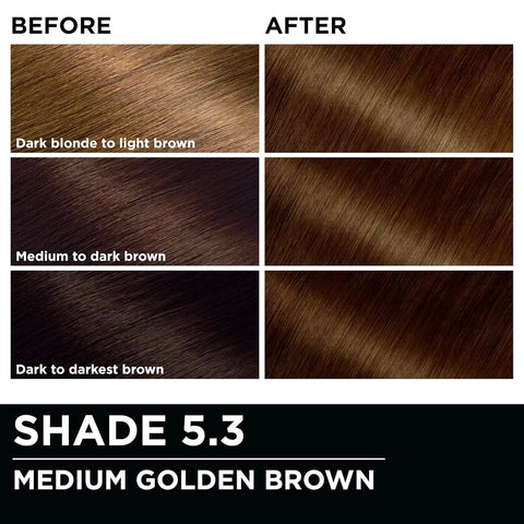 Garnier Olia Hair Color, Ammonia-Free Permanent Hair Dye, Oil-Powered Formula for 100% Gray Coverage and 3x Shinier Hair, Vegan & Cruelty Free, 5.3 Medium Golden Brown, 2 Count