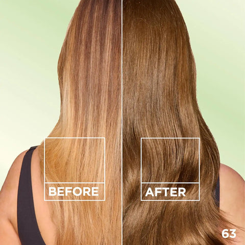 Garnier Nutrisse Ultra Crème Hair Color, Permanent Hair Dye with 100% Gray Coverage, Vegan & Cruelty-Free, 63 Light Golden Brown (Brown Sugar), 2 Count